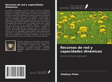 Copertina di Recursos de red y capacidades dinámicas