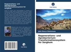 Buchcover von Regenerations- und Agrobacterium-Transformationssystem für Sorghum