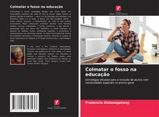 Buchcover von Colmatar o fosso na educação