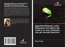 Capa do livro de Approfondimento sulla biomassa microbica del suolo e la sua relazione con gli incendi boschivi 