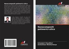 Copertina di Nanocompositi polimerici-silice