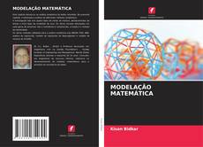 Couverture de MODELAÇÃO MATEMÁTICA