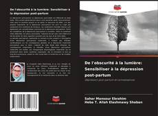 Capa do livro de De l'obscurité à la lumière: Sensibiliser à la dépression post-partum 
