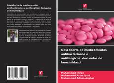 Descoberta de medicamentos antibacterianos e antifúngicos: derivados de benzimidazol的封面