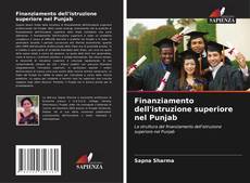 Finanziamento dell'istruzione superiore nel Punjab的封面