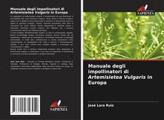 Manuale degli impollinatori di Artemisietea Vulgaris in Europa kitap kapağı
