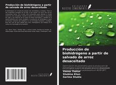 Producción de biohidrógeno a partir de salvado de arroz desaceitado kitap kapağı