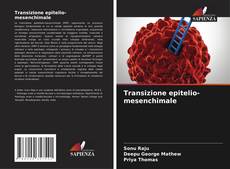Borítókép a  Transizione epitelio-mesenchimale - hoz