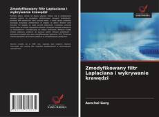 Couverture de Zmodyfikowany filtr Laplaciana i wykrywanie krawędzi