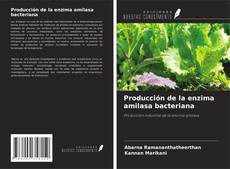 Обложка Producción de la enzima amilasa bacteriana