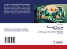 Process Efficiency Multipliers:的封面