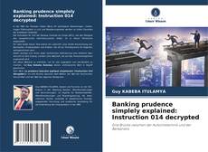 Bookcover of Banking prudence simplely explained: Instruction 014 decrypted