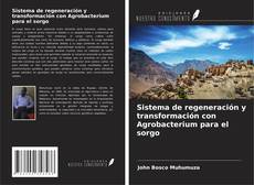 Capa do livro de Sistema de regeneración y transformación con Agrobacterium para el sorgo 