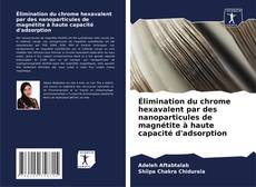 Bookcover of Élimination du chrome hexavalent par des nanoparticules de magnétite à haute capacité d'adsorption