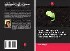 Bookcover of Uma visão sobre a biomassa microbiana do solo e sua relação com os incêndios florestais