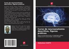 Capa do livro de Curso de neuroanatomia descritiva, figuras práticas 
