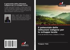 Il potenziale delle istituzioni indigene per lo sviluppo locale的封面