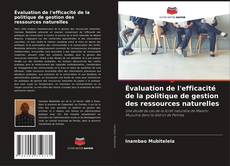 Évaluation de l'efficacité de la politique de gestion des ressources naturelles kitap kapağı