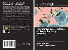 Capa do livro de Perspectivas moleculares de Enterobacter y Salmonella 