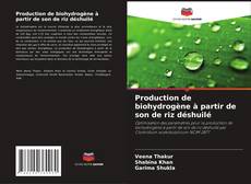 Bookcover of Production de biohydrogène à partir de son de riz déshuilé