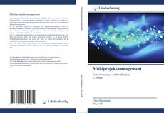 Multiprojektmanagement的封面