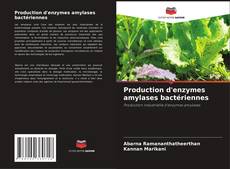 Bookcover of Production d'enzymes amylases bactériennes