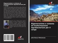 Portada del libro de Rigenerazione e sistema di trasformazione Agrobacterium per il sorgo