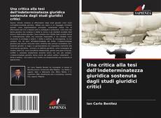 Capa do livro de Una critica alla tesi dell'indeterminatezza giuridica sostenuta dagli studi giuridici critici 