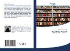 Buchcover von Faynberg Merosi