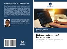 Datenstrukturen in C beherrschen的封面