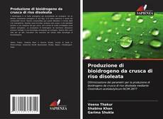 Borítókép a  Produzione di bioidrogeno da crusca di riso disoleata - hoz