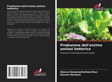 Copertina di Produzione dell'enzima amilasi batterica