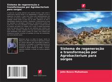 Bookcover of Sistema de regeneração e transformação por Agrobacterium para sorgos