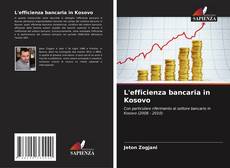 L'efficienza bancaria in Kosovo的封面