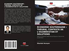 Copertina di ÉCONOMIE SOUTERRAINE : THÉORIE, CONTEXTE DE L'OUZBÉKISTAN ET SOLUTIONS