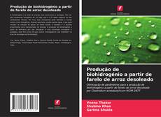 Обложка Produção de biohidrogénio a partir de farelo de arroz desoleado