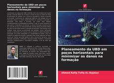 Обложка Planeamento da UBD em poços horizontais para minimizar os danos na formação