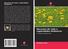 Couverture de Recursos de rede e capacidades dinâmicas