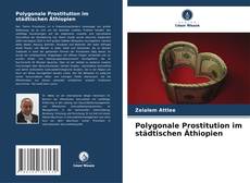 Copertina di Polygonale Prostitution im städtischen Äthiopien