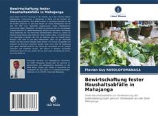 Bewirtschaftung fester Haushaltsabfälle in Mahajanga的封面