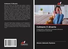 Bookcover of Colmare il divario