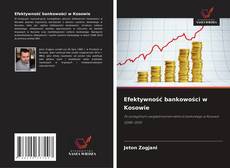 Portada del libro de Efektywność bankowości w Kosowie