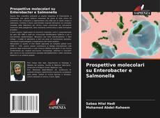 Buchcover von Prospettive molecolari su Enterobacter e Salmonella