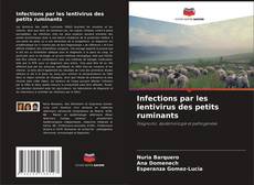 Infections par les lentivirus des petits ruminants的封面