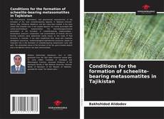 Bookcover of Conditions for the formation of scheelite-bearing metasomatites in Tajikistan