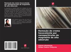 Bookcover of Remoção de cromo hexavalente por nanopartículas de magnetite de alta adsorção