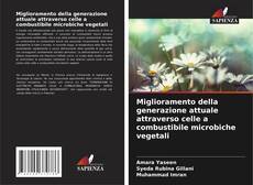 Copertina di Miglioramento della generazione attuale attraverso celle a combustibile microbiche vegetali