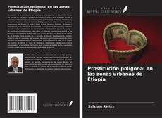 Copertina di Prostitución poligonal en las zonas urbanas de Etiopía