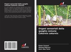 Bookcover of Organi sensoriali della quaglia comune Coturnix coturnix