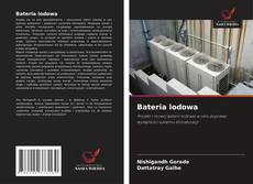 Couverture de Bateria lodowa